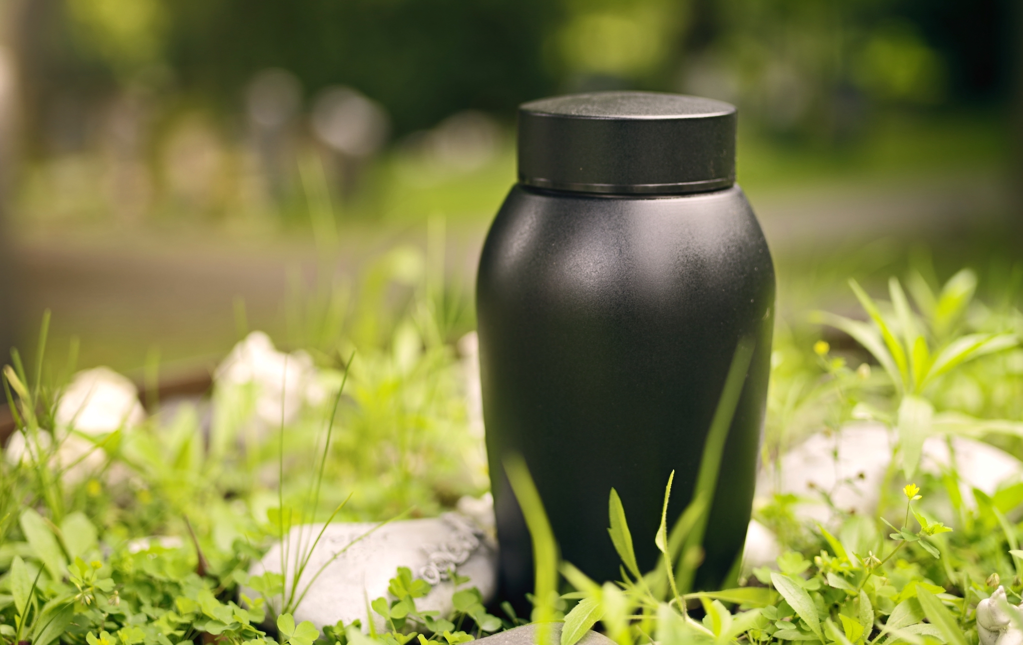 Dispersion des cendres d’un défunt : où et comment faire ?